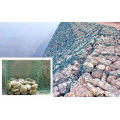 Galvanisierter &amp; PVC-Sechskant-Mesh- / Gabion-Mesh